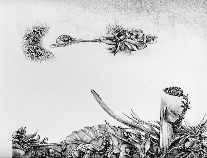 Fliehender Maulwurz aus der Serie Pflanzen, 1985, Lithographie, 22 x 28 cm