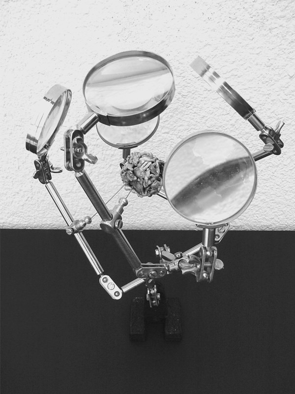 Observarium, 2000, Standobjekt, 31 x 23 x 23 cm