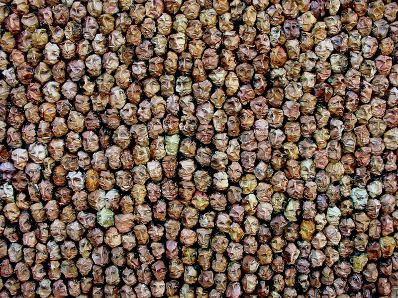 Anonym (Ausschnitt), 2002, Wandobjekt, 112 x 82 cm