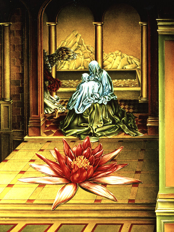 Seerosenwunder, 1981, keine Größenangabe